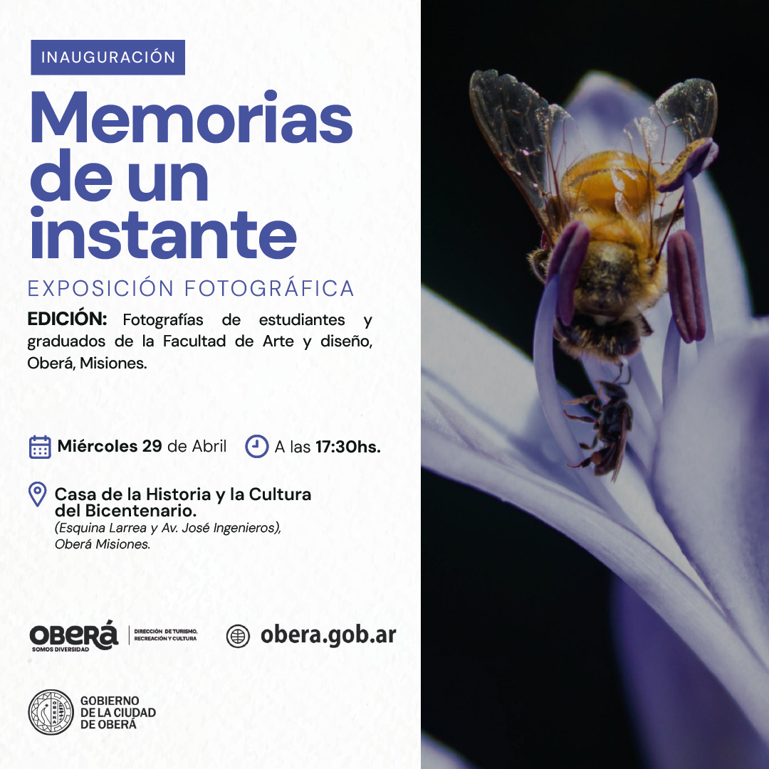 Memorias de un instante